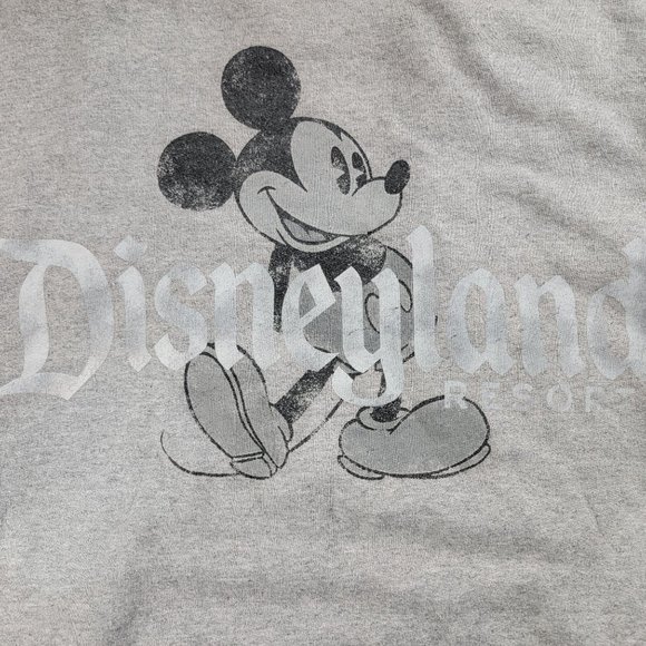 Disney X Hanes Adults Medium Gray Pullover Sweater Long Sleeve Winter Warm - Picture 5 of 9